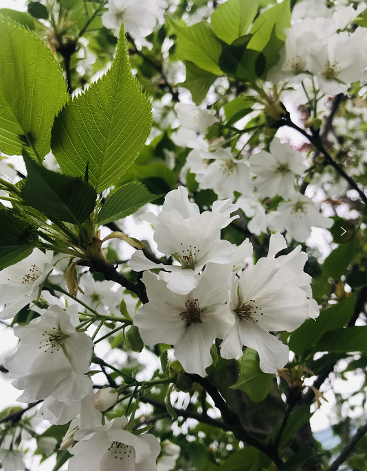 自貢匯豐花崗巖分公司